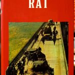 Len Deighton - Munjeviti rat
