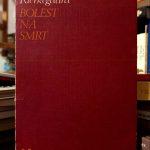 Soren Kierkegaard - Bolest na smrt