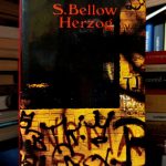 Saul Bellow - Herzog