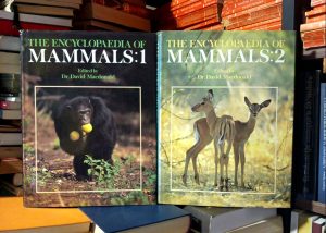 David Macdonald - The Encyclopaedia of Mammals I-II