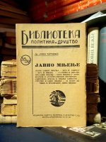 Jovan Đorđević - Javno mnjenje