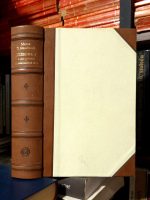 Milan Đ. Milićević - Dnevnik I (1. januar 1869. - 22. septembar 1872.)