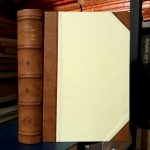 Božo Knežević - Principi istorije