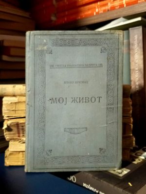 Vlaho Bukovac - Moj život