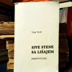 Vojo Terić - Sive stene sa lišajem