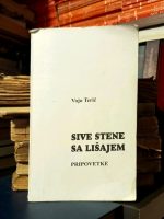 Vojo Terić - Sive stene sa lišajem
