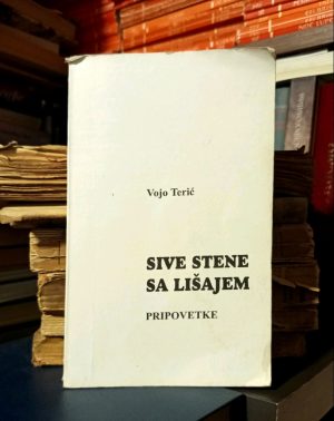 Vojo Terić - Sive stene sa lišajem