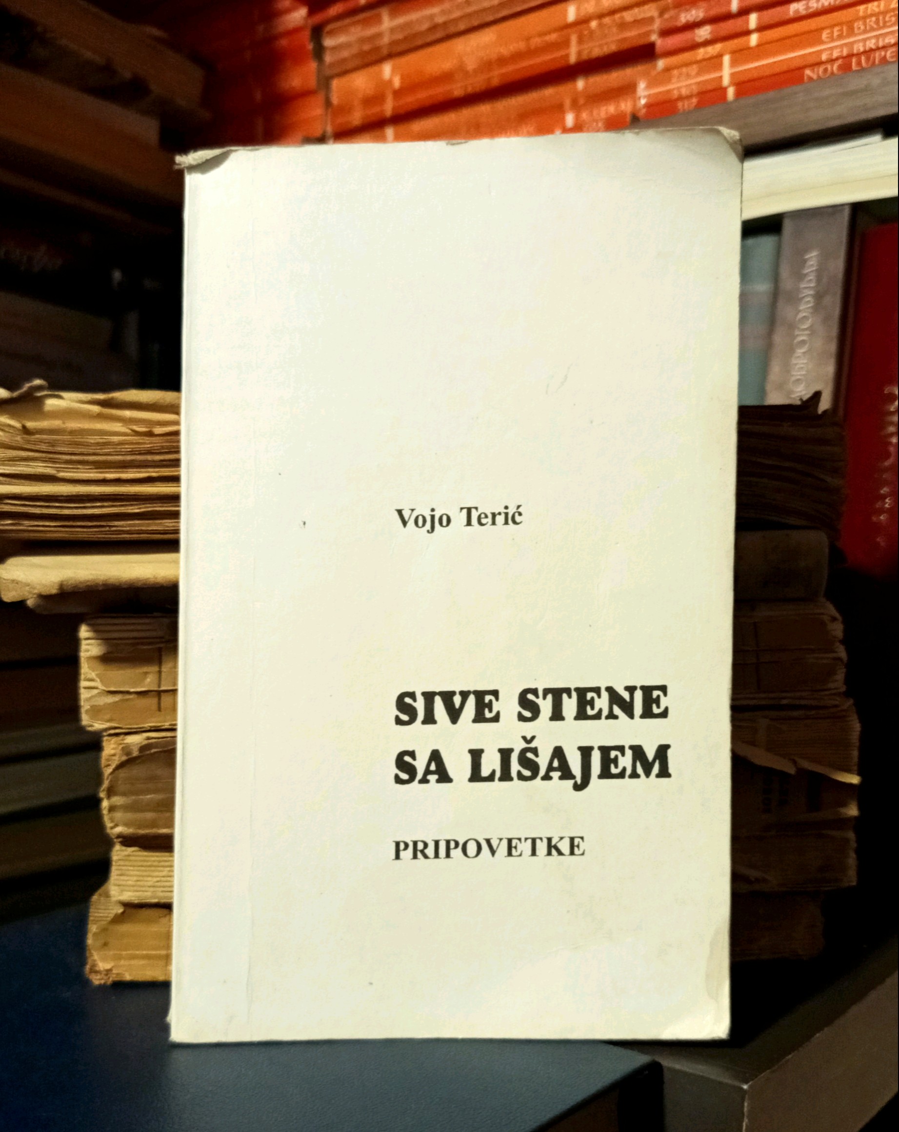 Vojo Terić - Sive stene sa lišajem