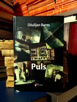 Džulijan Barns - Puls