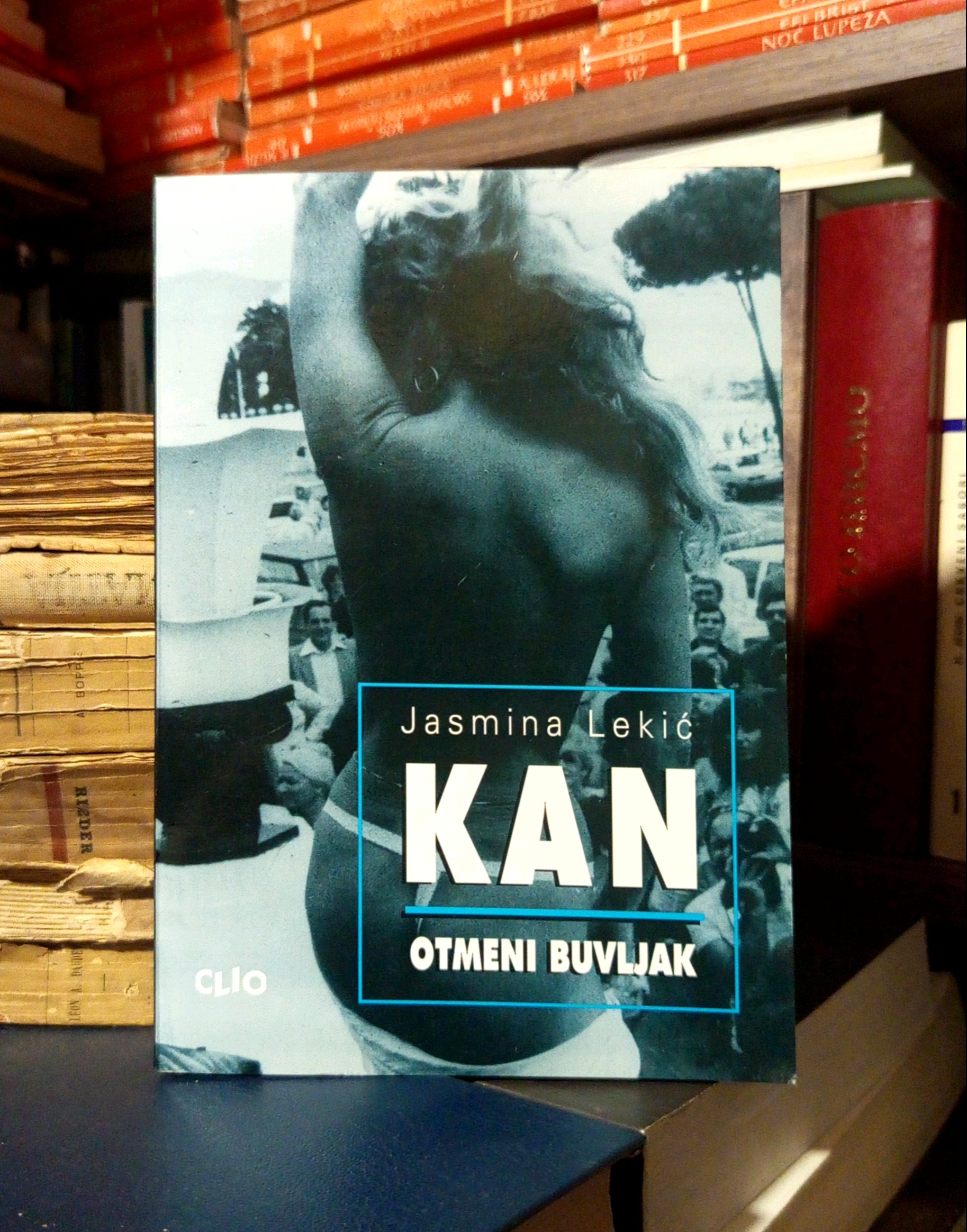 Jasmina Lekić - Kan: otmeni buvljak