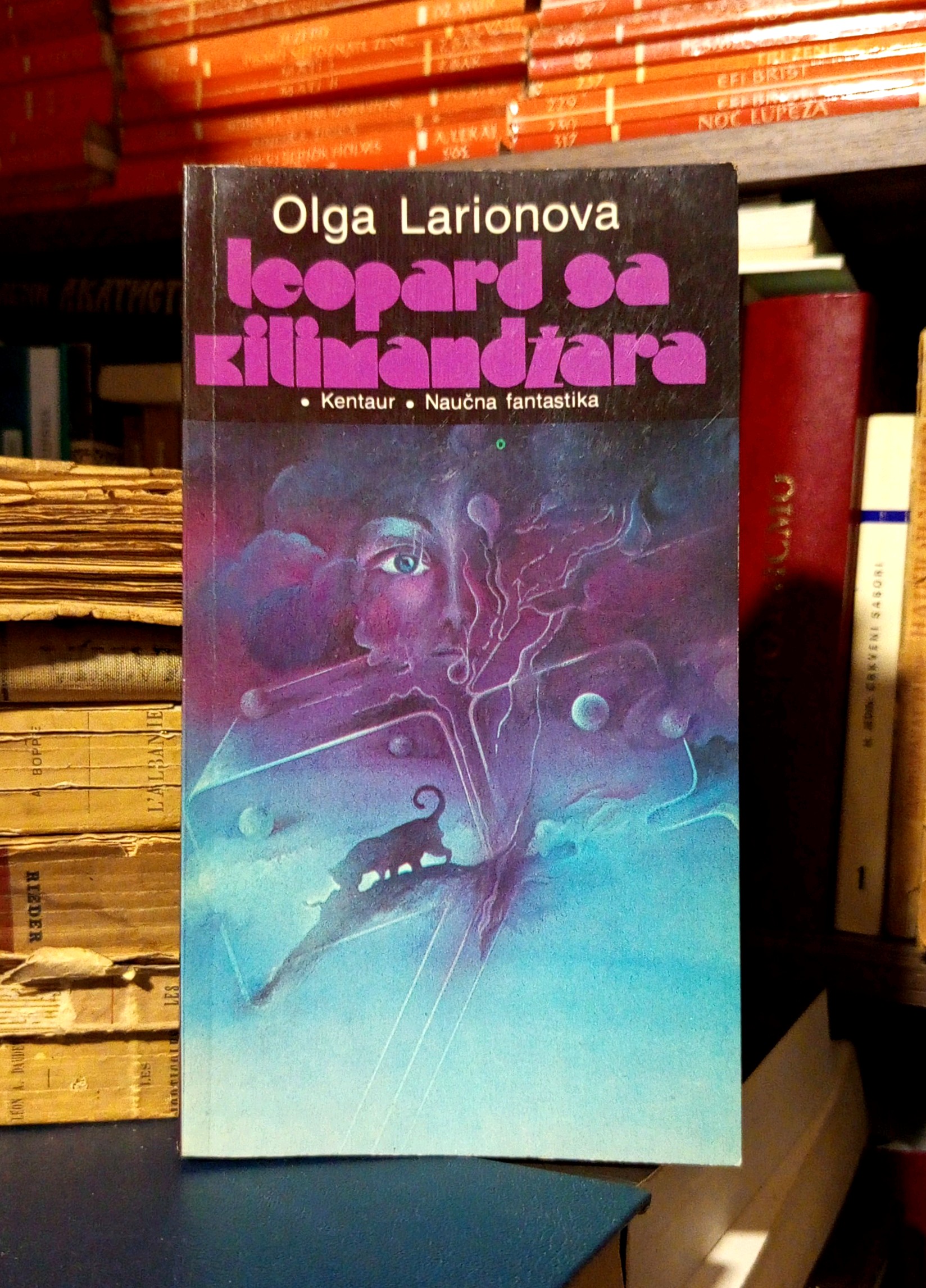Olga Larionova - Leopard sa Kilimandžara