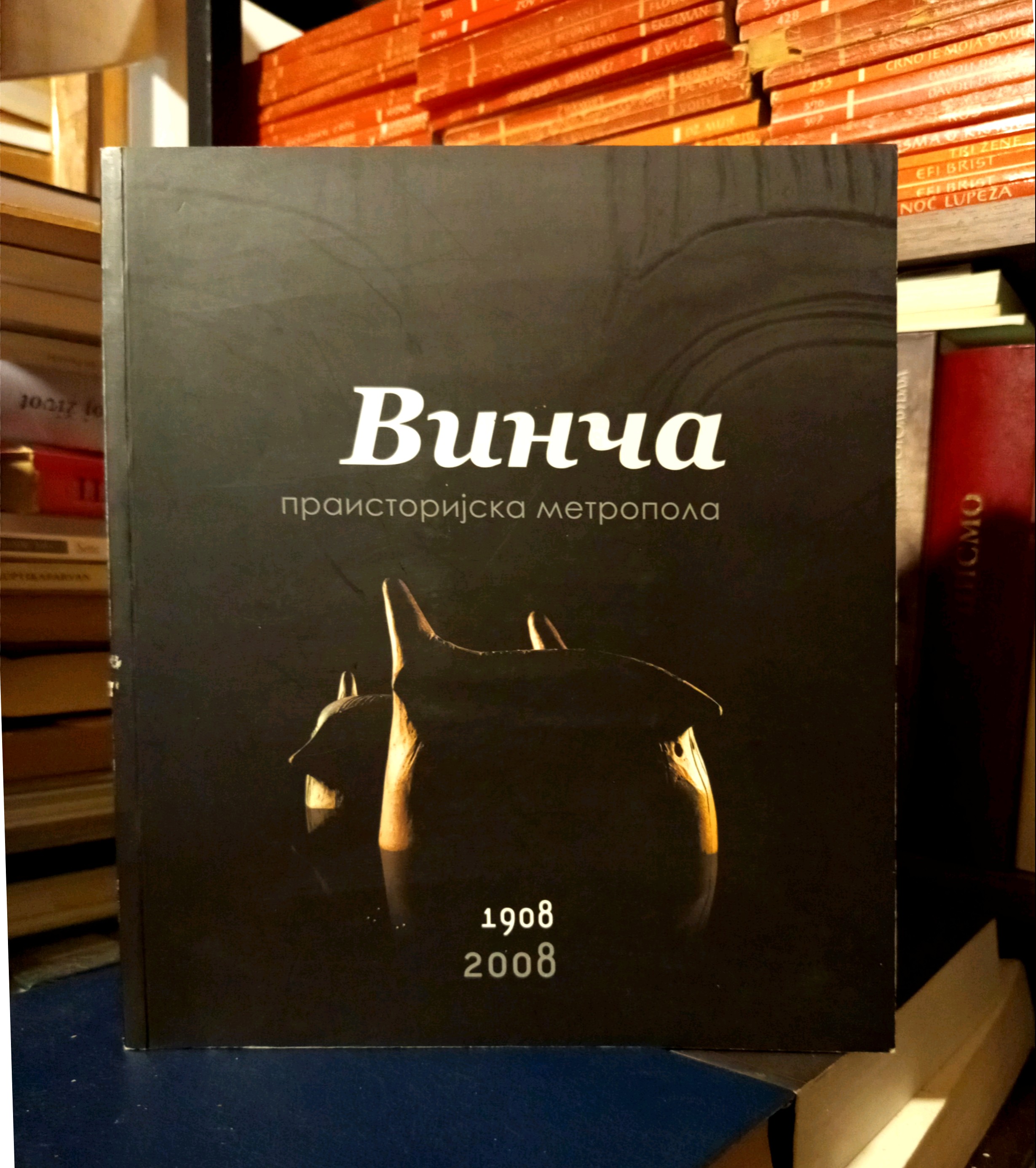 Vinča - praistorijska metropola