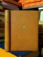 Onore de Balzak - Ljiljan u dolu