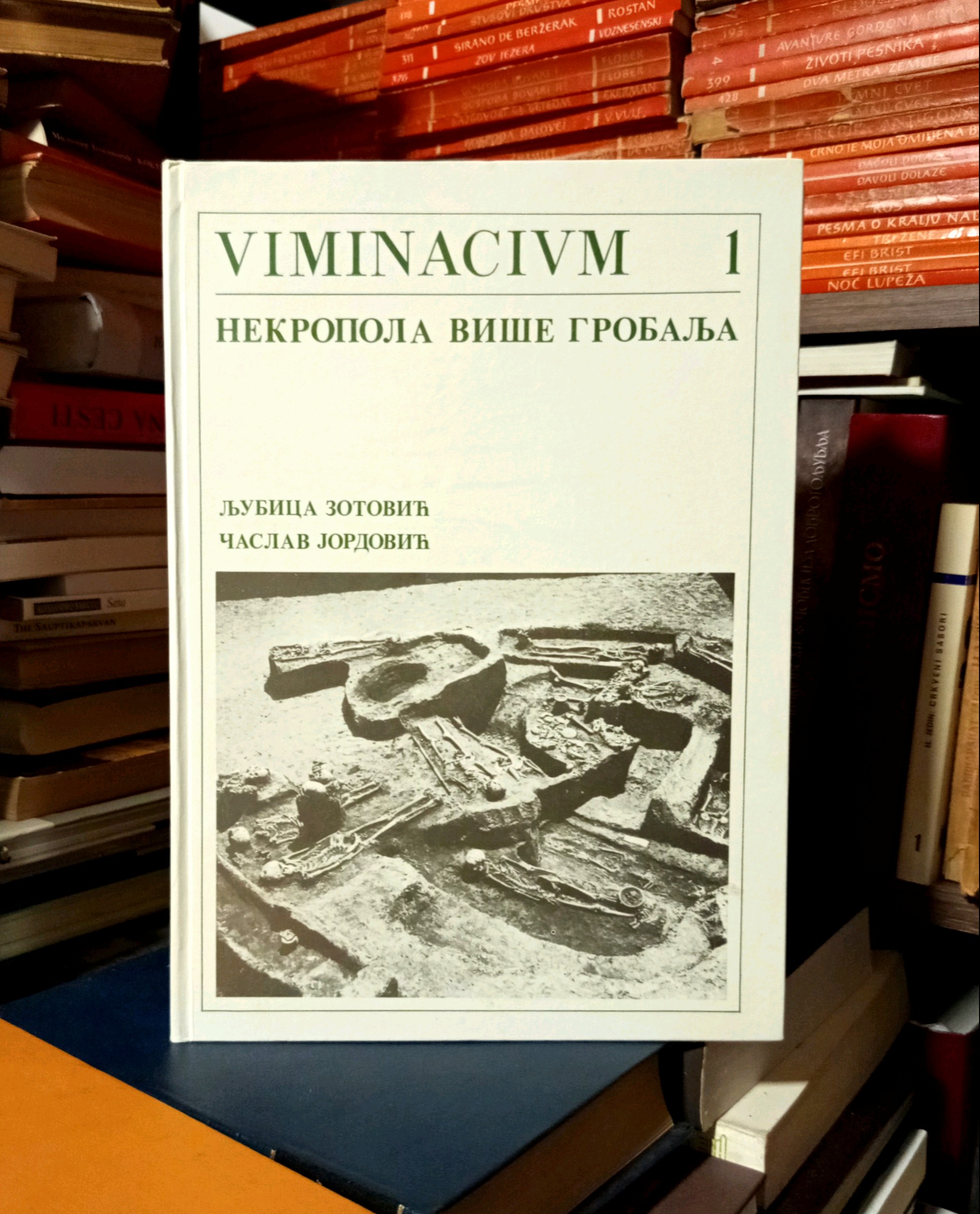 Ljubica Zotović, Časlav Jordović - Viminacivm, nekropola više grobalja