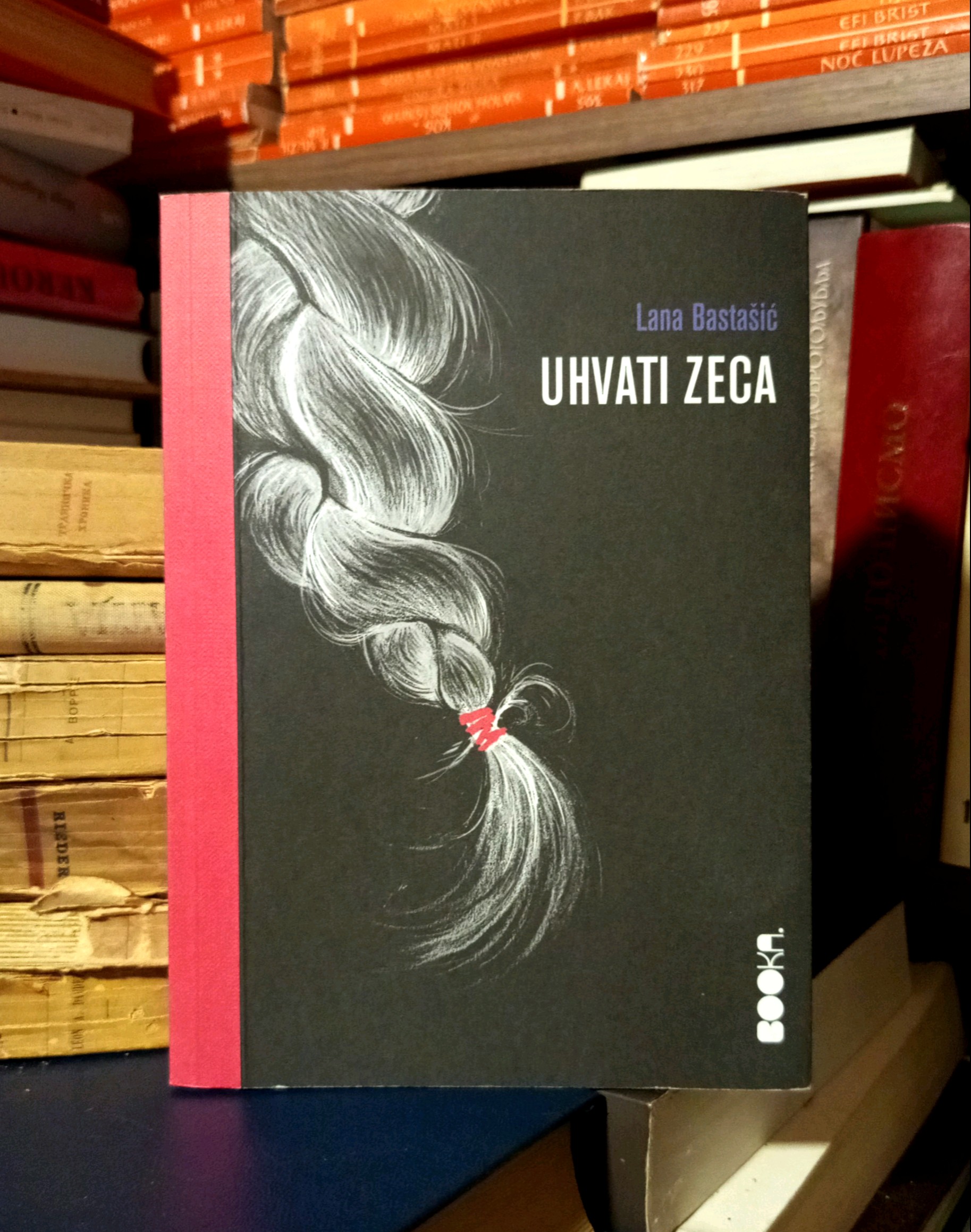 Lana Bastašić - Uhvati zeca