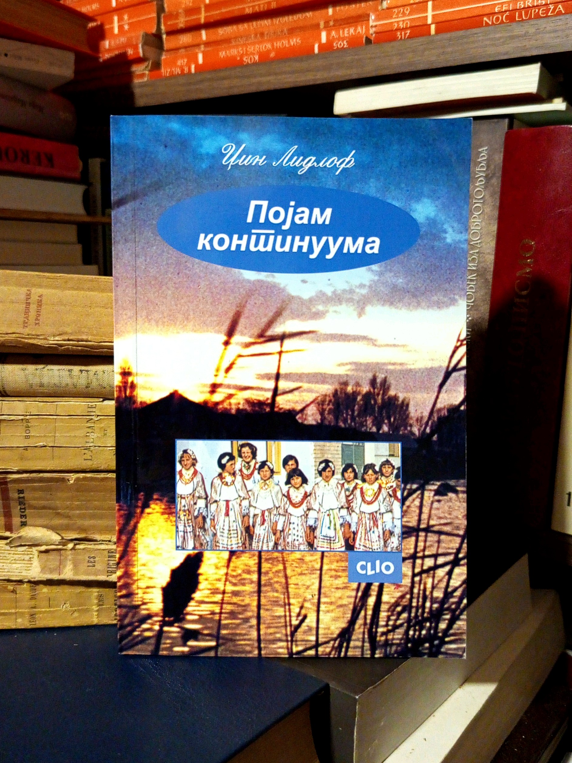 Džin Lidlof - Pojam kontinuuma