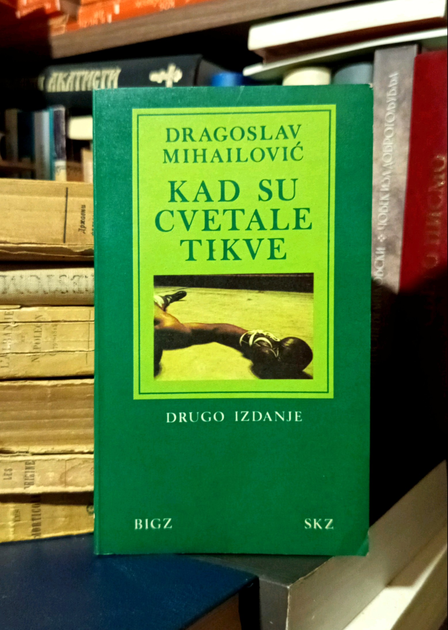 Dragoslav Mihailović - Kad su cvetale tikve
