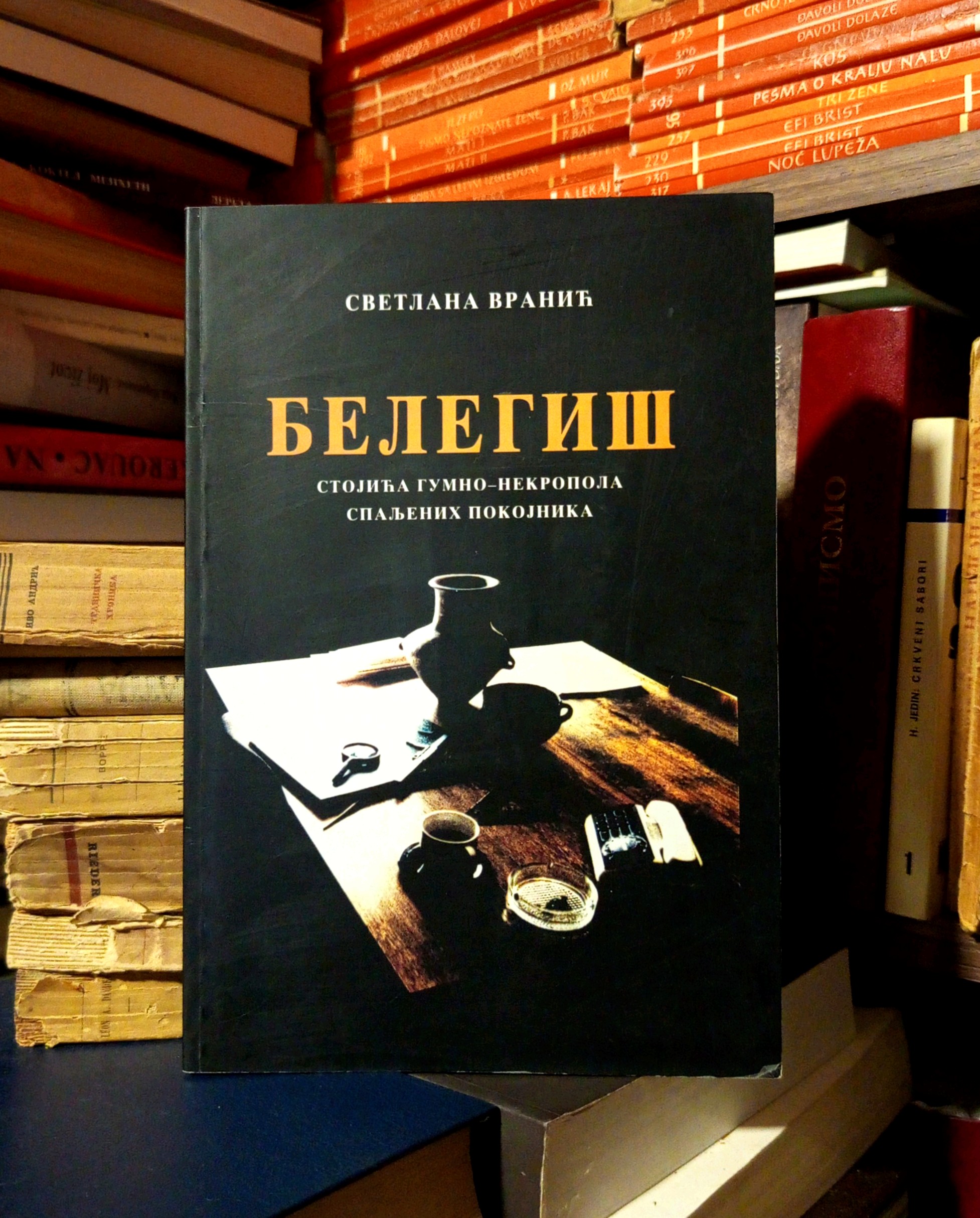 Svetlana Vranić - Belegiš (Stojića gumno-nekropola spaljenih pokojnika)