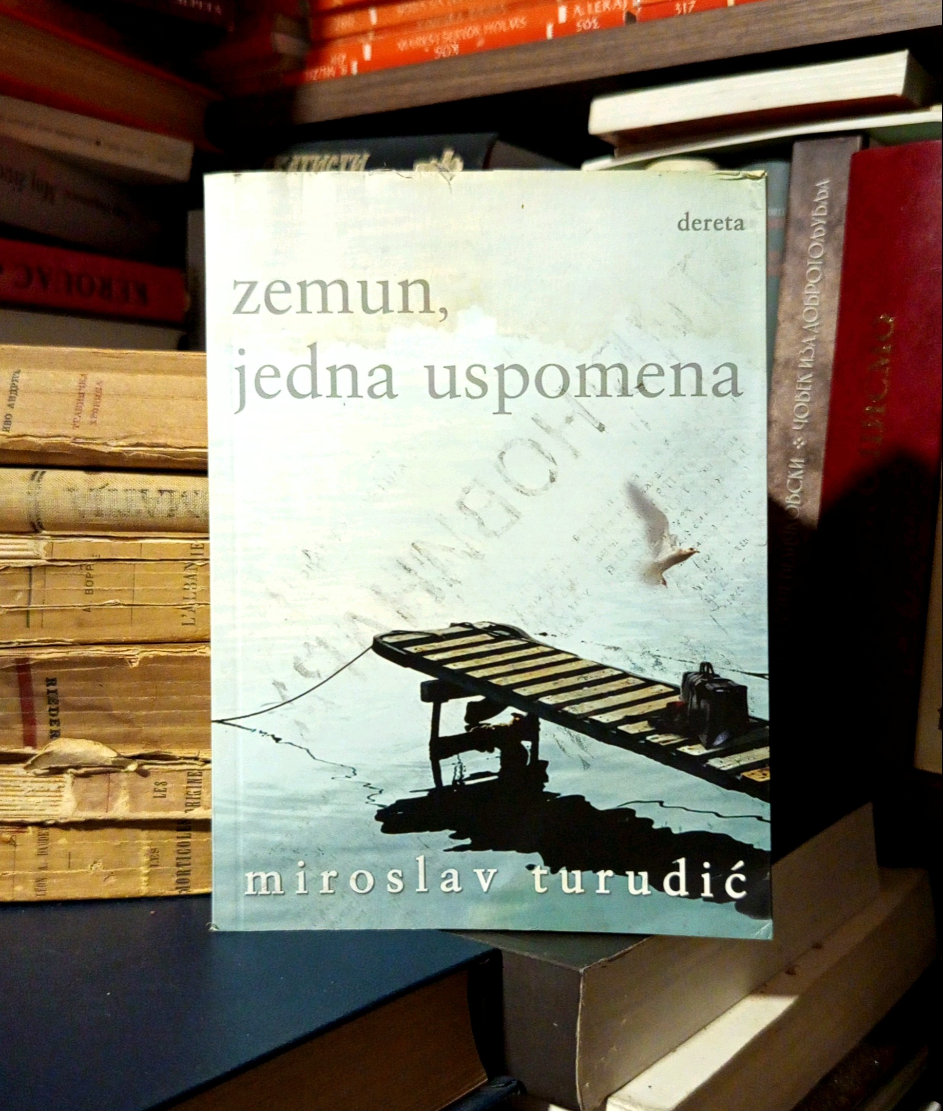 Miroslav Turudić - Zemun, jedna uspomena