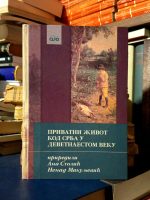 Ana Stolić, Nenad Makuljević - Privatni život kod Srba u devetnaestom veku