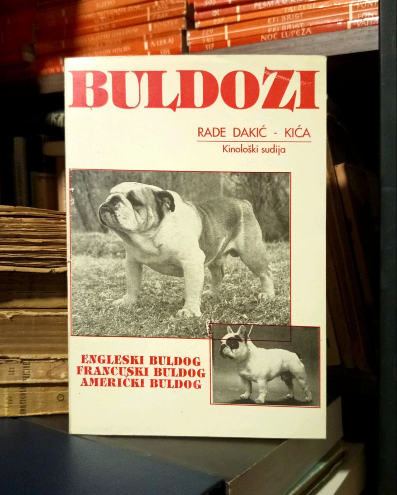 Rade Dakić-Kića - Buldozi