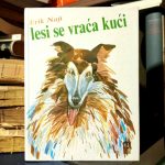 Erik Najt - Lesi se vraća kući