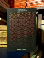 Dževad Karahasan - Što pepeo priča