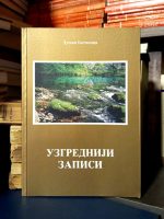 Dušan Batinica - Uzgredniji zapisi