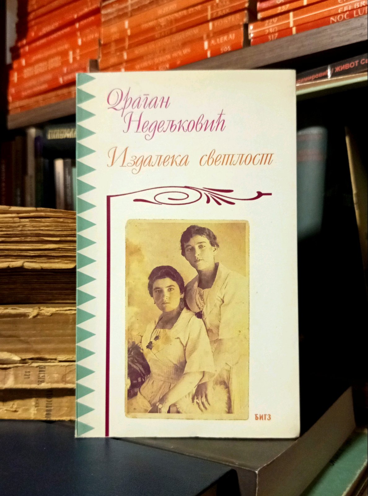 Dragan Nedeljković - Izdaleka svetlost