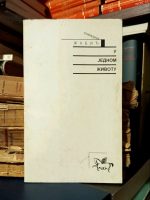 Snežana Žabić - U jednom životu