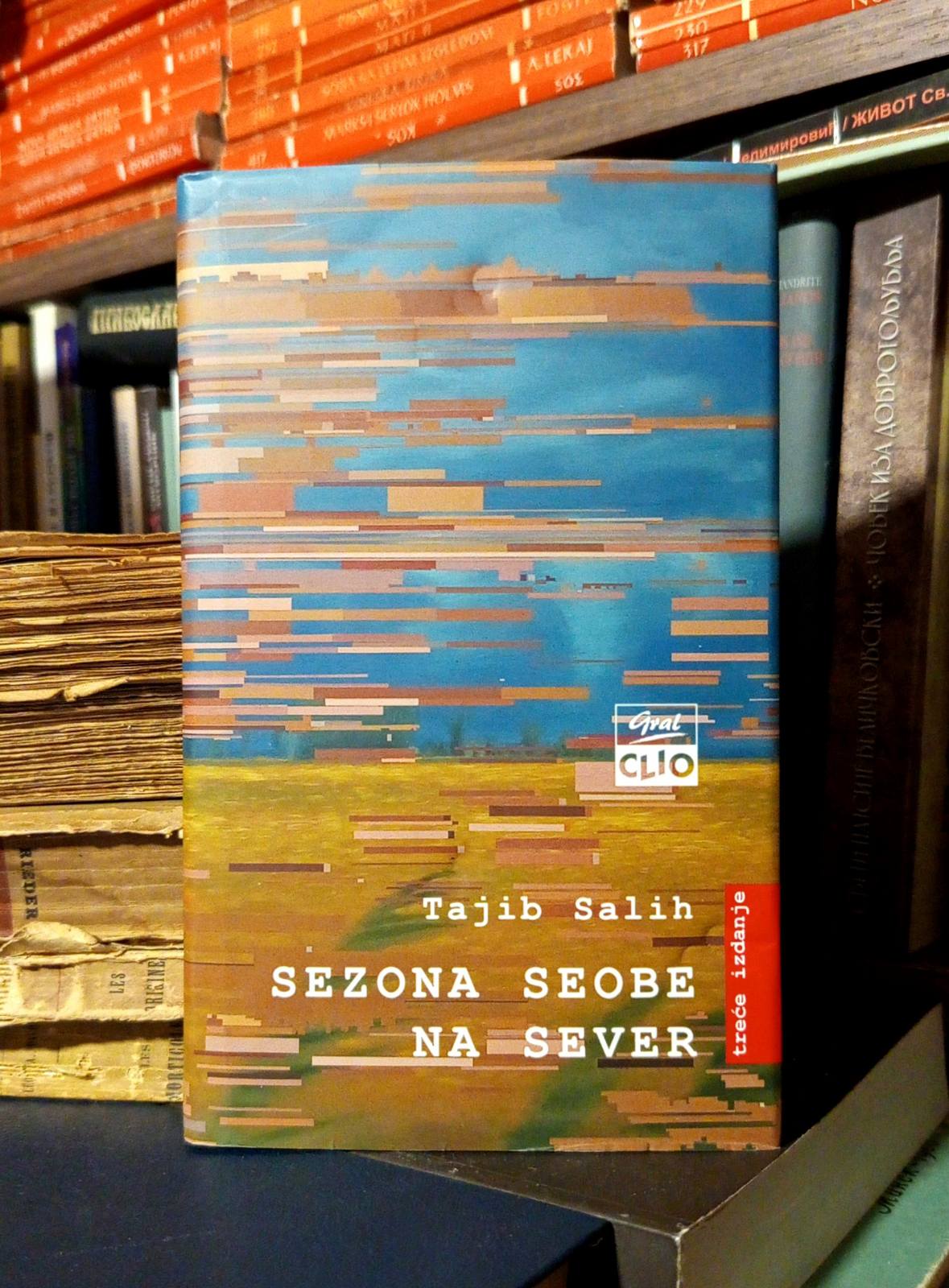 Tajib Salih - Sezona seobe na sever