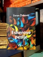 Zoran Živković - Esherove petlje