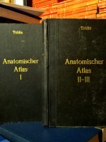 Toldt - Anatomischer Atlas für Studierende und Ärzte I-III