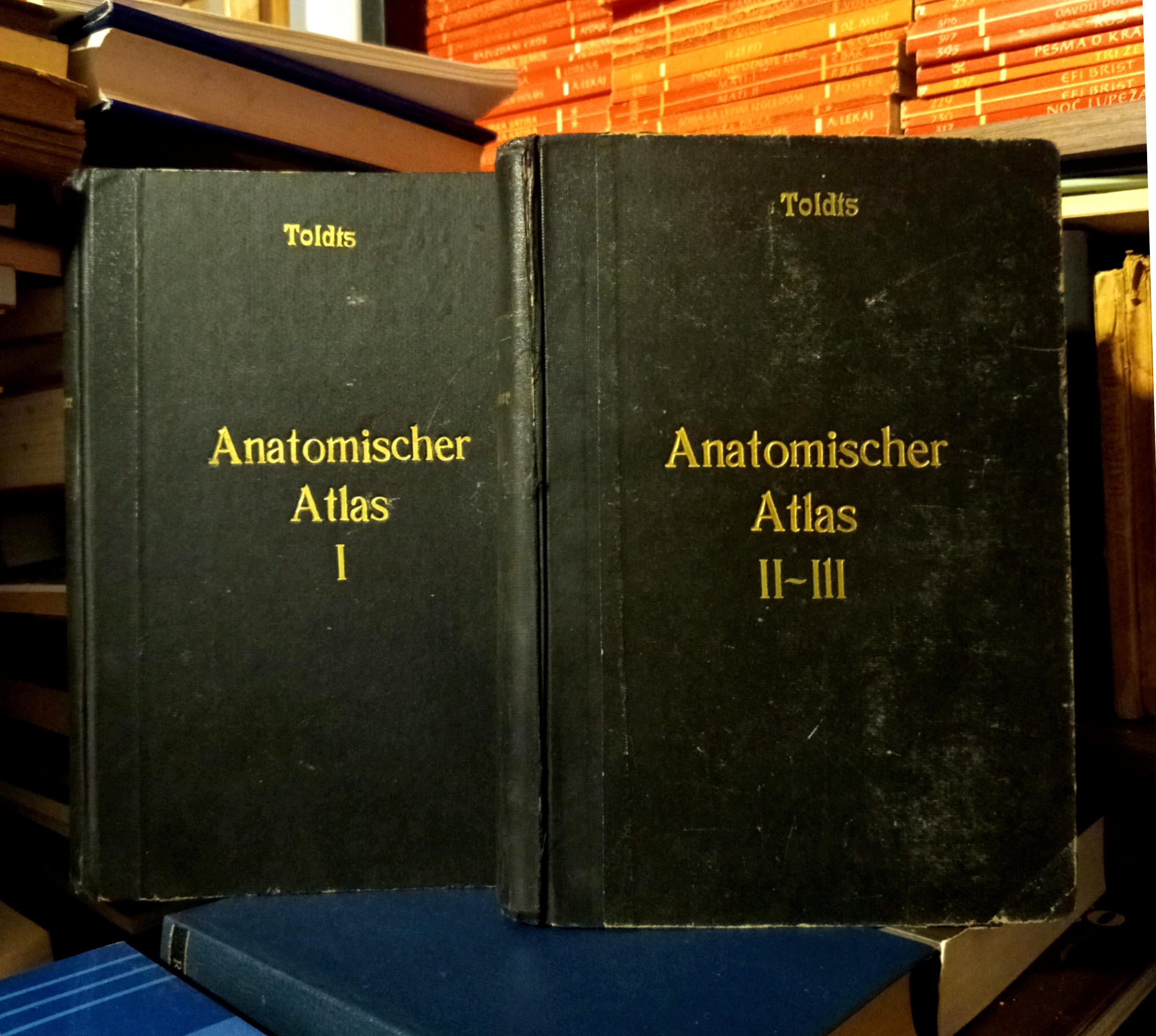 Toldt - Anatomischer Atlas für Studierende und Ärzte I-III