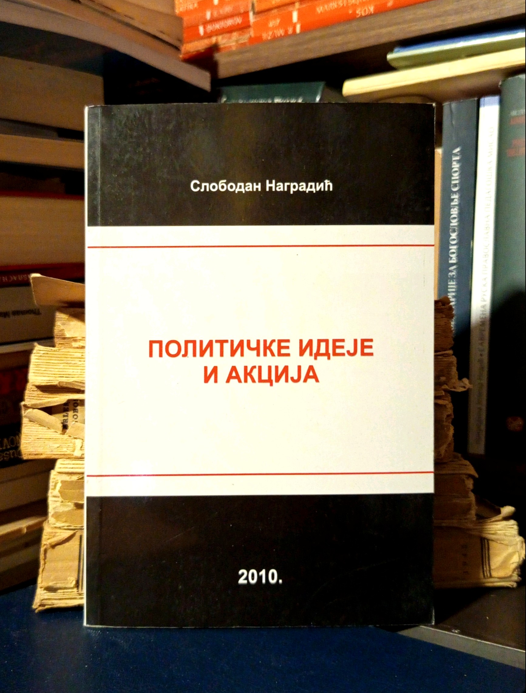 Slobodan Nagradić - Političke ideje i akcija