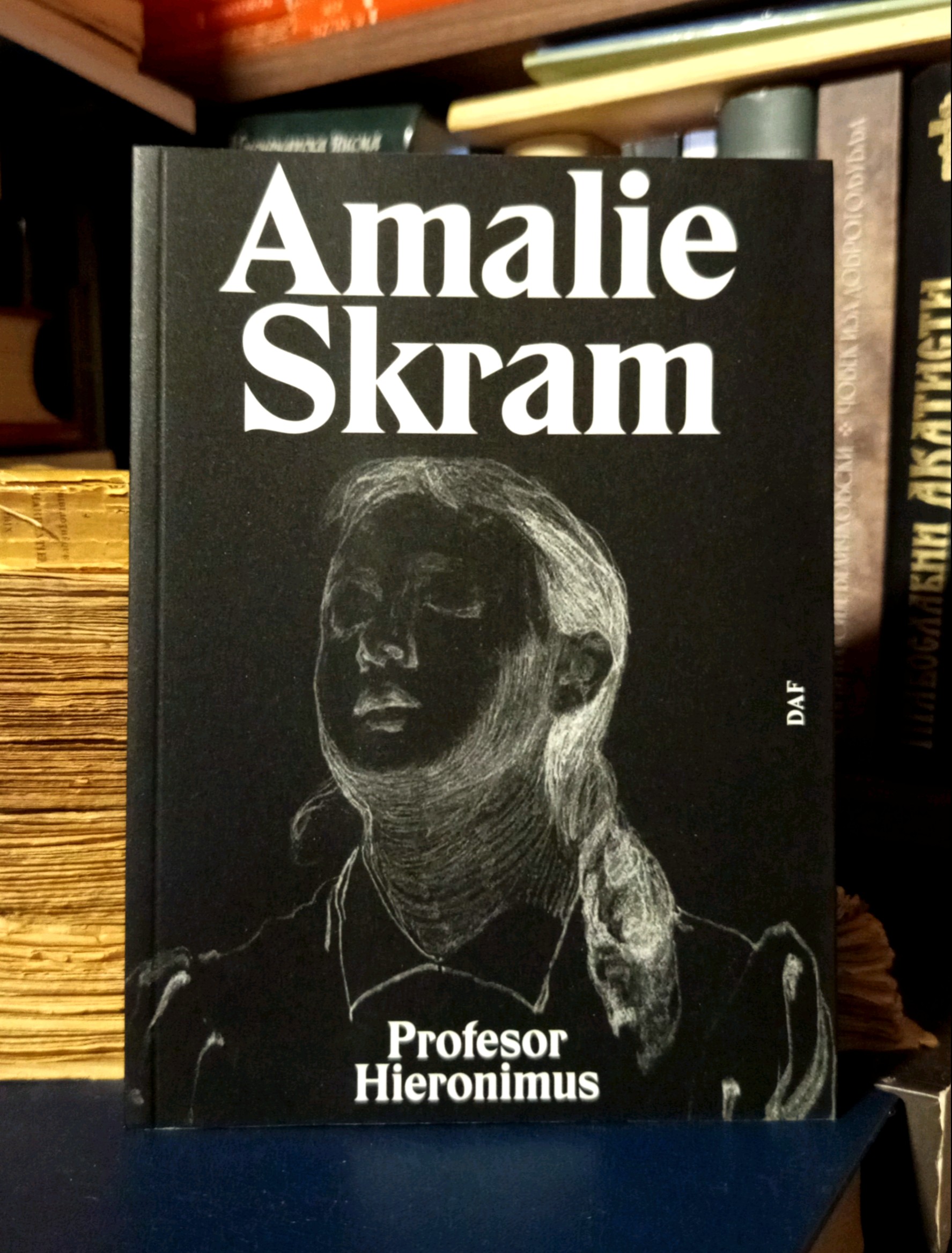 Amalie Skram - Profesor Hieronimus