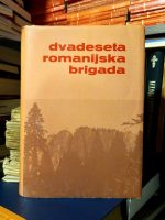 Dvadeseta romanijska brigada