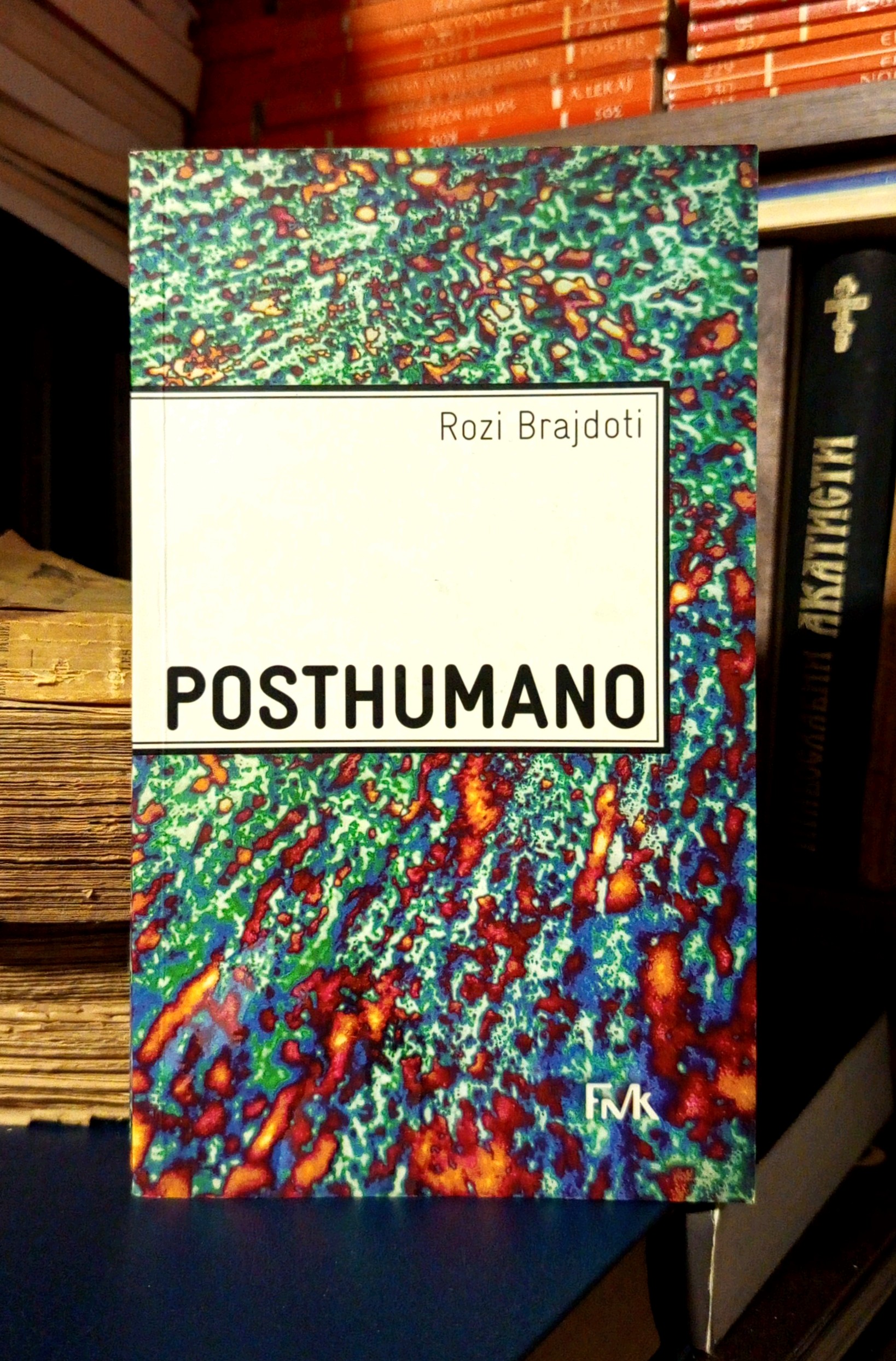 Rozi Brajdoti - Posthumano