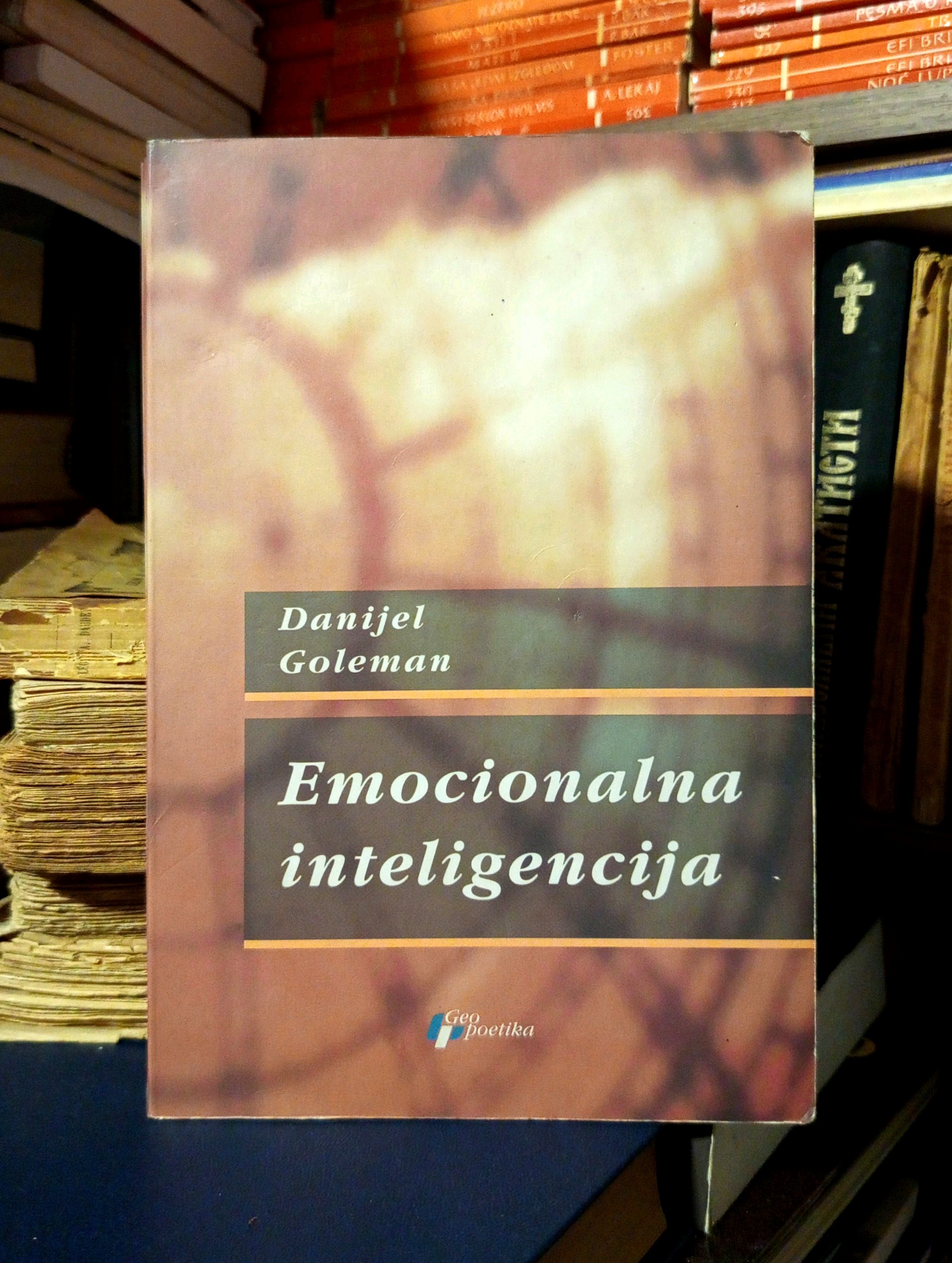 Danijel Goleman - Emocionalna inteligencija